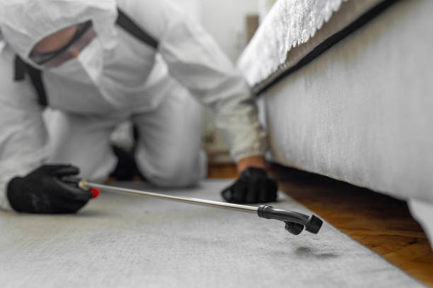 Professional Termite Control technician working in Columbia County County, OR